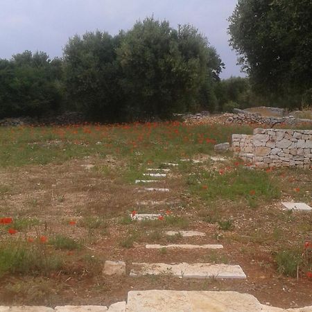 奇斯泰尼诺Trullo Alto Salento别墅 外观 照片
