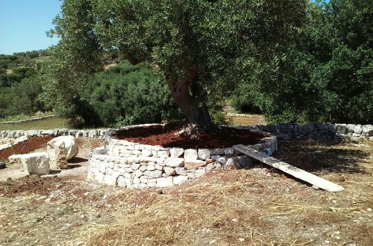 奇斯泰尼诺Trullo Alto Salento别墅 外观 照片